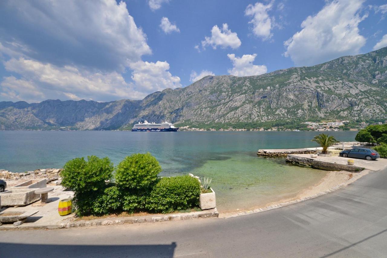 Saxo * Kotor